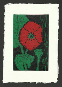 Red Poppy original  linocut print - click to buy in my Etsy shop